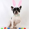 Aring pet ARING PET Easter Dog Collar-Cute Easter Eggs Dog