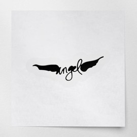 Transparent Decal Stickers of Wings (Black) Premium Waterproof Vinyl Decal Stickers for Laptop Phone Accessory Helmet Car Window Mug Tuber Cup Door Wall Decoration ANDstic775776BL040522