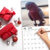2026 Wall Calendar,Cockatoo Calendar 2026,OWL Monthly Wall Calendar, 12" x
