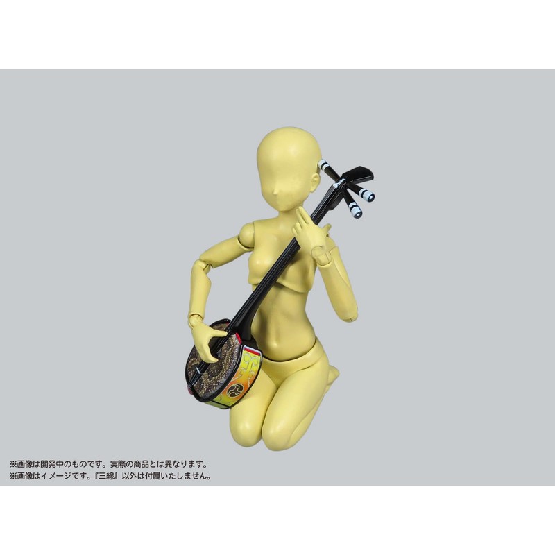 MIC D.I.Y. Pripla Three-Line Painted Plastic Model