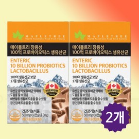 Maple Tree 장용성 유산균 100억유산균 락토바실러스 플란타룸 60캡슐, 2개