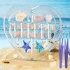 Mini Heart Acrylic Magnetic Seashell Display Box with Hold Base,