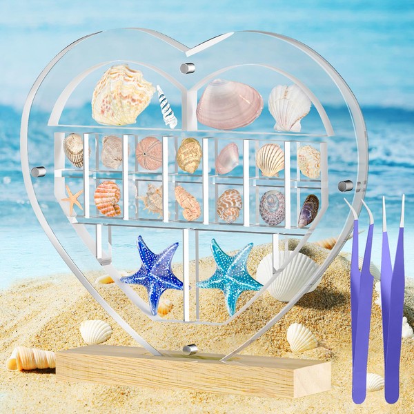 Mini Heart Acrylic Magnetic Seashell Display Box with Hold Base,