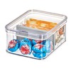 iDesign Crisp Plastic Divided Bin, Modular Stacking Food Storage Box,