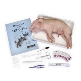 Carolina® Pig Anatomy Kit With Dissecting Set, Materials For 1-2 Students