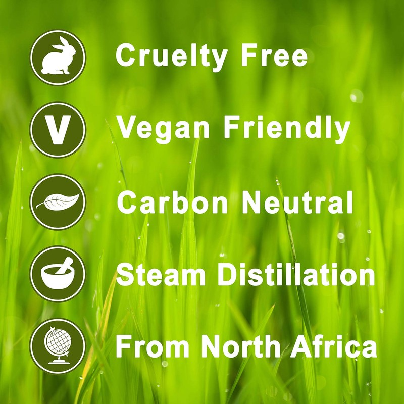 Frankincense 100% Pure Essential Aromatherapy Oil 100ml