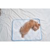 Dog glacier cooling pet dog cool cushion dog Duragon mat