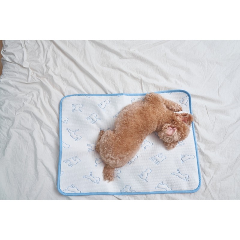 Dog glacier cooling pet dog cool cushion dog Duragon mat