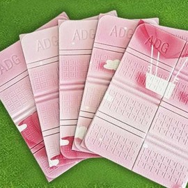 Portable Mini Waterproof Outdoor Mat (38x28cm) (Pack of 10)