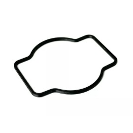 Solid Layer Motorsports 2006-2009 Suzuki Quadracer LTR 450 Fuel Pump O Ring Gasket Seal