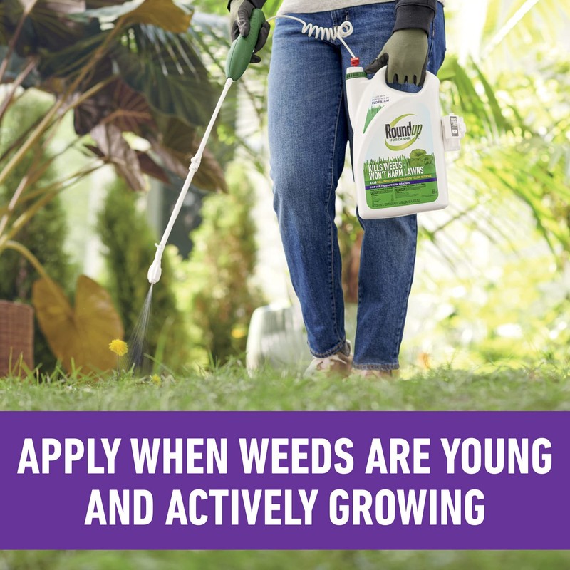 Roundup for Lawns₄ Ready-to-Use (Southern) - All-in-One Weed Killer for