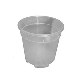 Orchid Pot Plastic Transparent in Various Sizes (Diameter 17 cm x Height 15 cm)