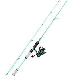 One Bass Spirit Flame Fishing Rod Reel Combo, Spinning & Baitcasting Fishing Pole with Graphite 2Pc Blanks, Stainless Steel Guides-6'6" Spinning Blue with 2000 Reel
