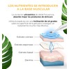 CLEOSKIN. Espátula Peeling Ultrasónico. Exfoliación, depurador facial de poros. Incluye