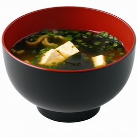 JapanBargain 2044, Japanese Plastic Soup Bowl for Ramen Udon Pho Noodle Poke Cereal Bowl 23 oz Microwave and Dishwasher Safe Made in Japan