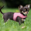 Mile High Life Velcro Dog Harness, Air Mesh Floral Vest