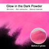 Renfio Glow Powder, 3.5oz 100g Glow in The Dark Face