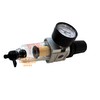 1/4" NPT Mini Compressed Air In Line Filter Regulator Combo