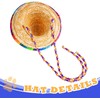 2 Pack Bearded Dragon Sombrero Hats - Lizard Cinco De