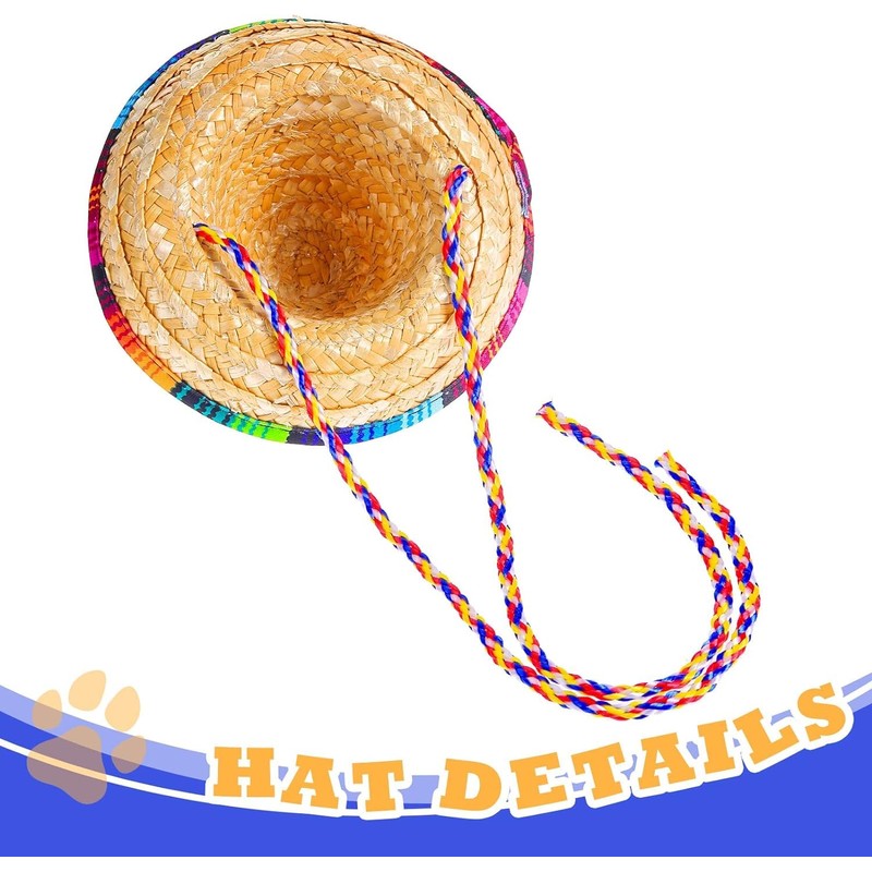 2 Pack Bearded Dragon Sombrero Hats - Lizard Cinco De
