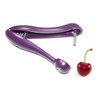 PRETYZOOM Salad Tool Set Cherry Pitter Olive Pitter Cherry Corer