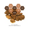 상황버섯진액 효능 액기스 상황버섯즙 70ml 30포 Lingzhi Mushroom Extract Benefits