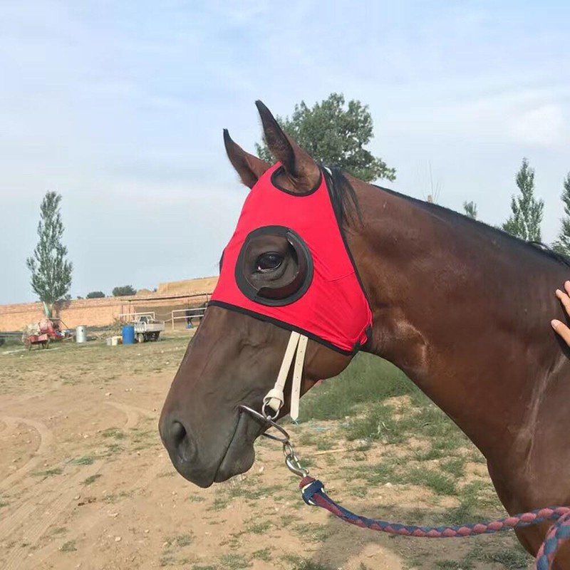 경주마 아이마스크 가리개 모래 방지 보호 [블루벨트] Racehorse Eye Mask