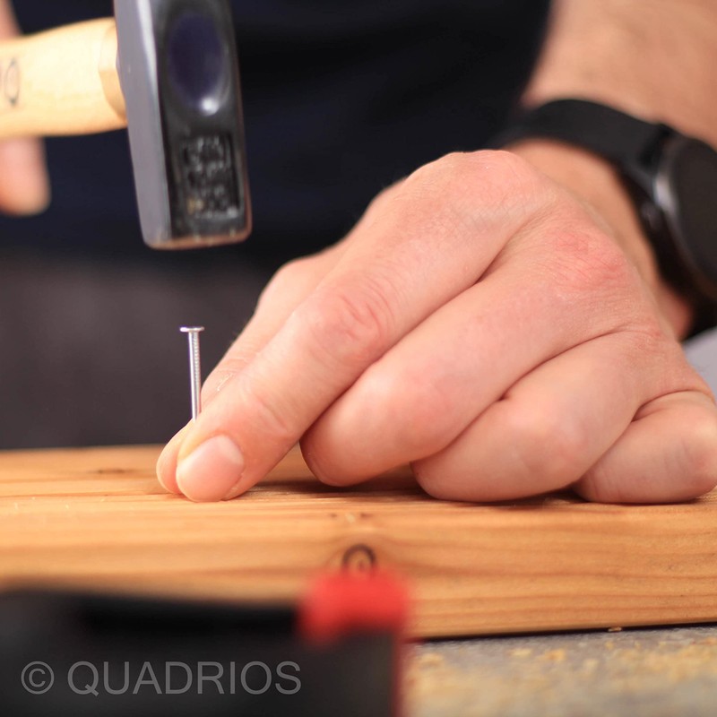 QUADRIOS GmbH Steel Nail Assortment 2000 Pieces Various Nails Carpet