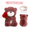 Bocguy Teddy Bear Plush, 28 cm Teddy Bear with Heart