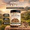 Hongos Adaptógenos Suplemento Hongo Cola Pavo 120 Cápsulas Extracto 100