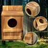 Owl Box for Outside - Spacious Bird House with Scratching