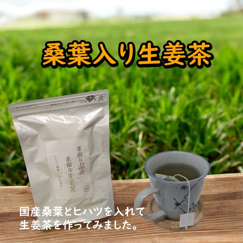 Kibote Warm Ginger Tea Hihatsu Mulberry Leaf Blend Ginger Tea
