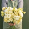 CZ Grain 20 Voyage 2 Yellow II Lisianthus Flower Seeds