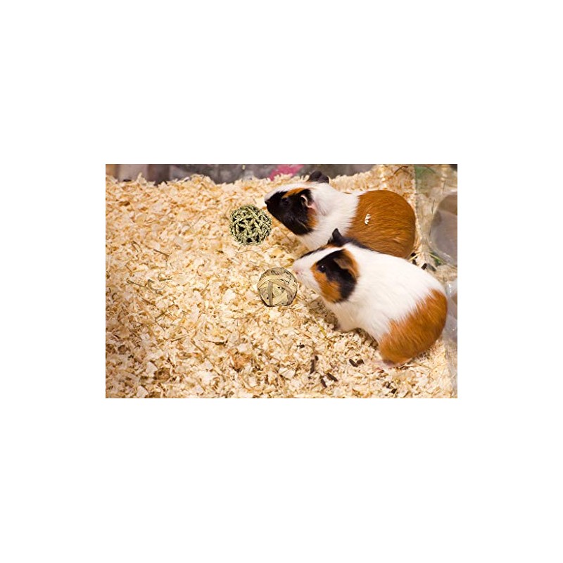 Juguetes para Masticar hámster, 24 Piezas