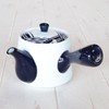 Japanese Tea Pot, Stylish, Stainless Steel, Tea Strainer, Arita Ware,