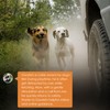 Dog Shock Collar - Exclusive Shock-Prohibition Lock Mode, Dog Training