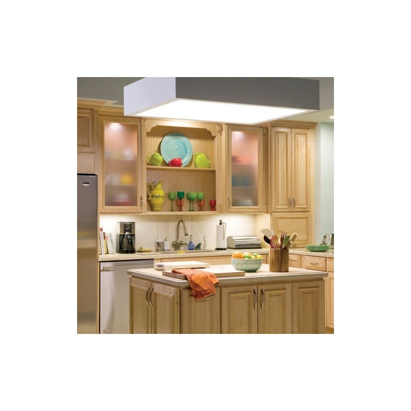 GE 11084 Circline 22-Watt, T9 Circline 1400-Lumen Light Bulb with