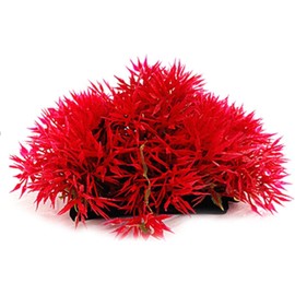 YuanHolumid Red Artificial Flowers, Fake Flowers, Artificial Pine with Base Grass Fish Tank Ornament Aquatic Plant Landscape Decor, Aquarium Décor, Pet Supplies