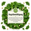 Premium Ginkgo Biloba Leaves 50 g | 100% Pure, Raw,