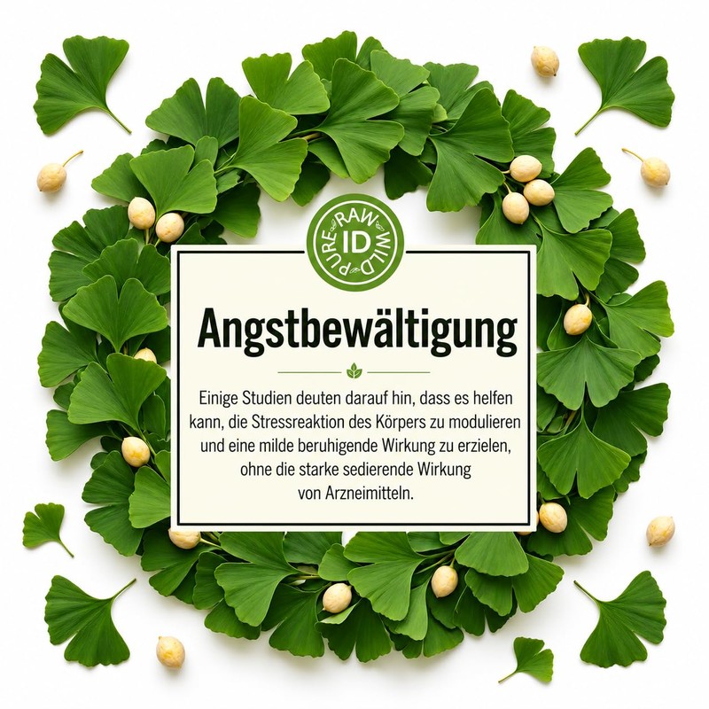 Premium Ginkgo Biloba Leaves 50 g | 100% Pure, Raw,