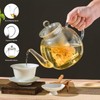 Wlasss 1530 ml/52 oz Large Glass Teapot with Removable Infuser,