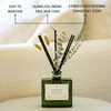 Craft & Kin Reed Diffuser with Dried Flowers | 5