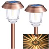 DenicMic Solar Garden Lights Outdoor Pathway Lights Glass Stainless Steel