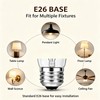 60 Watt Incandescent Light Bulbs, A19 Shatter Resistant Rough Service