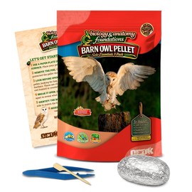 Barn Owl Pellets Classroom 1 Pack (Small) – Dissection Kit for Ecology & STEM – Includes Forceps, Picks & Teacher Guide – Hands-On Science Activity