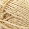 Bernat Forever Fleece Yarn, 1 Pack, Chamomile