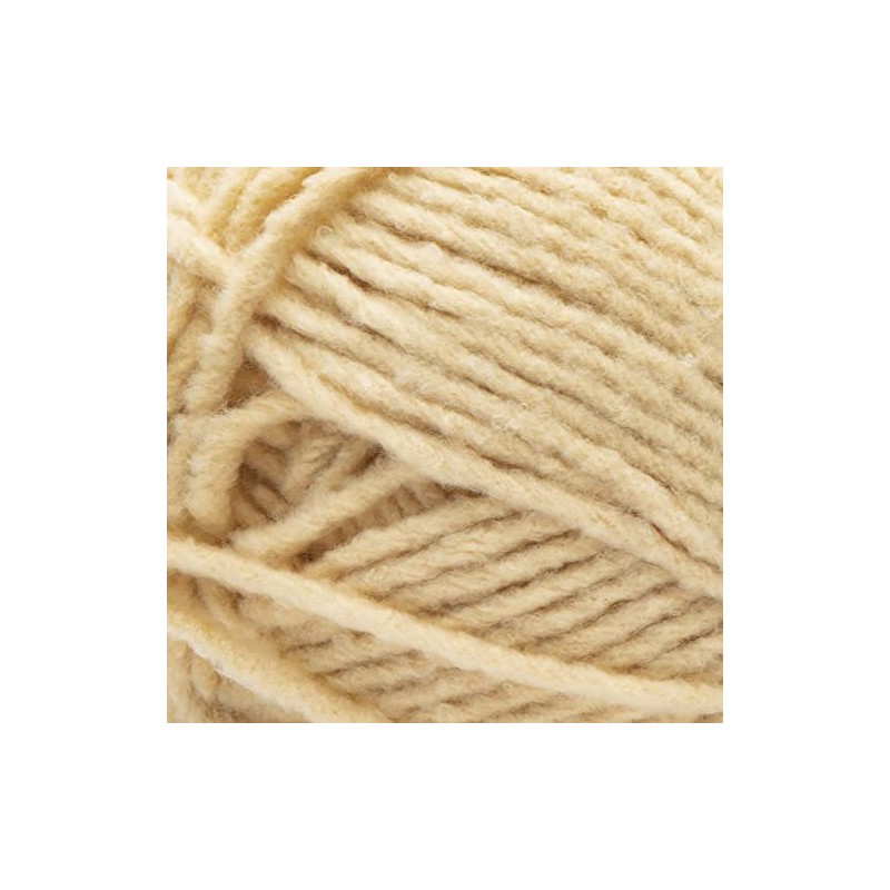 Bernat Forever Fleece Yarn, 1 Pack, Chamomile