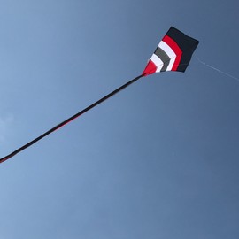 In the Breeze 3305 - Blazer Arch 27 Inch Diamond Kite - Single Line - Includes Kite Line and Bag