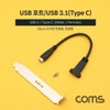 Coms USB 3.1 (Type C) Port Extension Adapter (MF) 20cm / Coms USB 3.1(Type C) 포트 연장 젠더(M F) 20cm