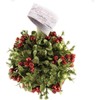 Ganz 5 Inch Mistletoe Kissing Ball Ornament,Red,5" Dia.